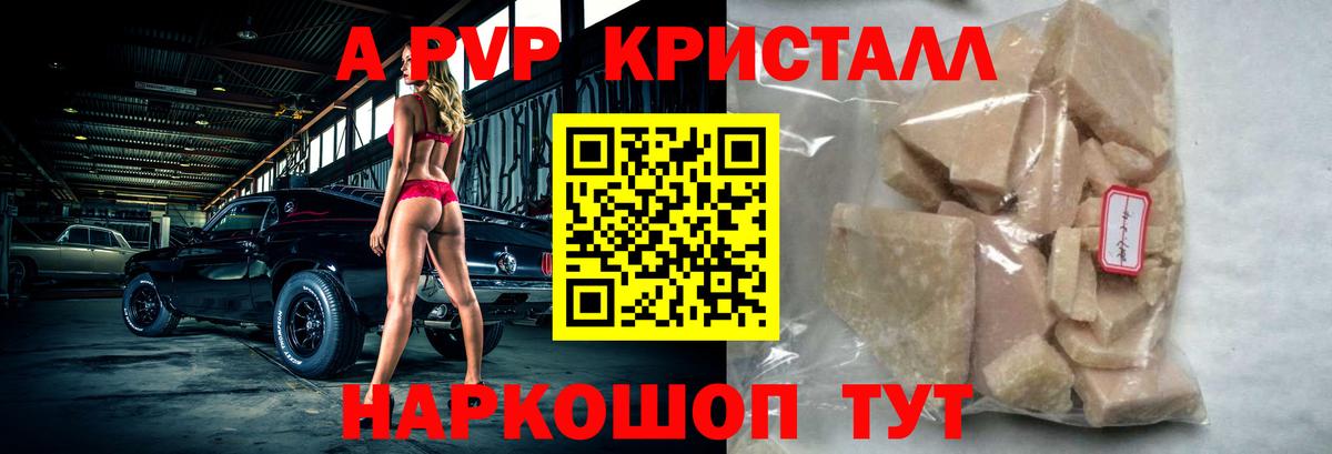 Alfa_PVP СК Бердск