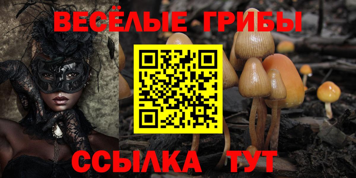 Псилоцибиновые грибы ЛСД  Вход с VPN  Галлюциногенные грибы прущие грибы  Бердск 